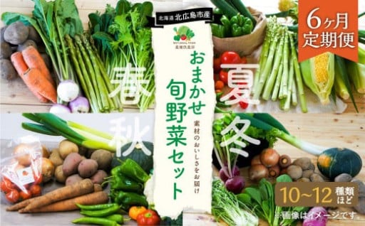 【6ヶ月定期便】 おまかせ旬野菜セット 旬 野菜 セット