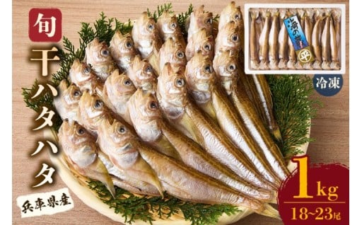 干物 干ハタハタ 1kg 