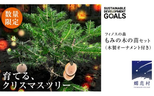 【 クリスマス に最適! 】 本物のもみの木を森からお届け！