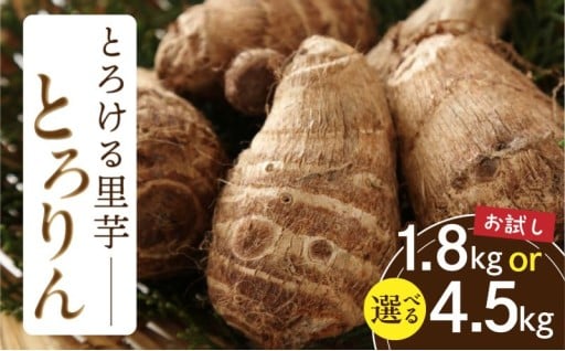 【お試し】✨とろける里芋『とろりん』土付き✨