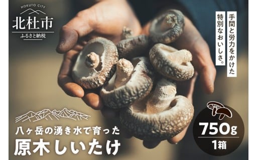原木しいたけ 1箱 750ｇ