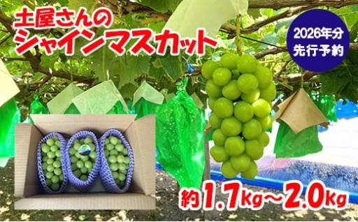 【2026年発送分 先行予約】土屋さんのシャインマスカット(1.7～2.0kg 3～4房)