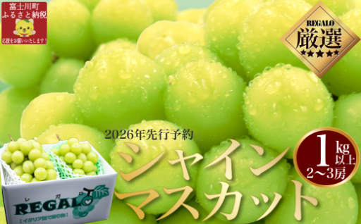 【大人気返礼品！】頬張る幸福感　～緑の宝石・ シャインマスカット ～ １ｋｇ以上（２～３房） 