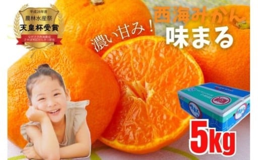  西海みかん｢味まる｣ 5㎏ / 糖度12度以上 佐世保