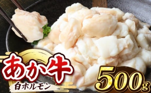あか牛 白 ホルモン 500g ( 250g × 2P )