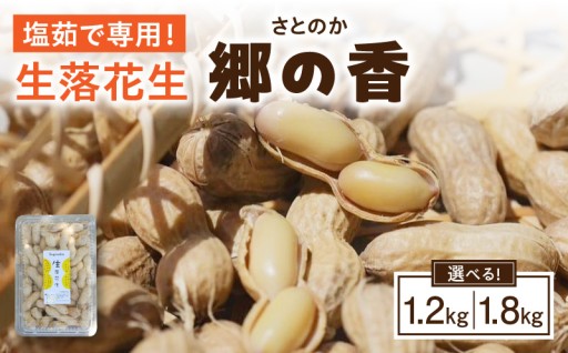 🥜塩茹で専用！生落花生🥜