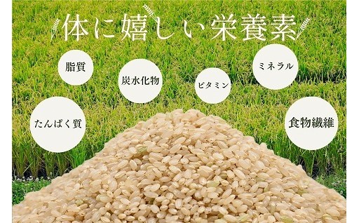 【新米の玄米】はいかがでしょうか