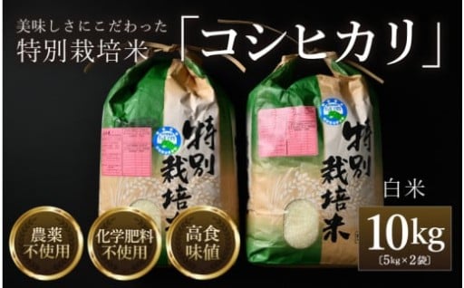 【最高ランク👑】特別栽培米✨食味値85点以上✨