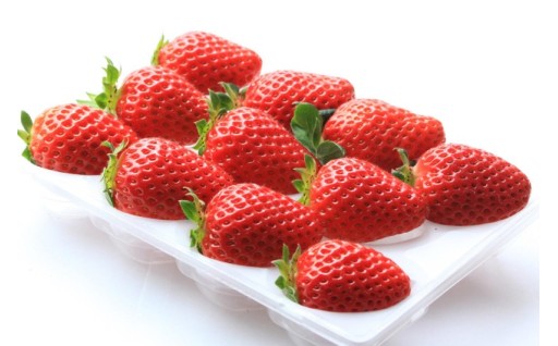 ［先行予約］いちご（まりひめ）　1パック(11粒入り）×4パック　ゆりかーご包装