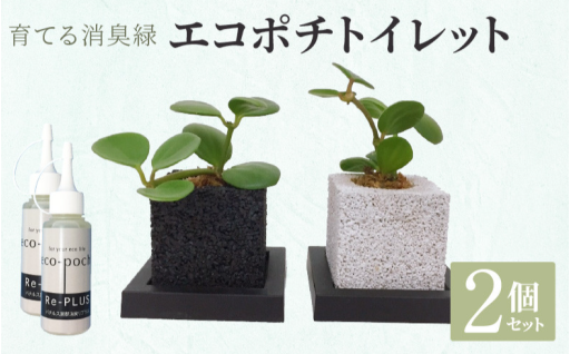 11月10日は何の日？