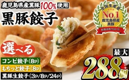 鹿児島黒豚使用！3種から選べる黒豚餃子(計36個～288個)