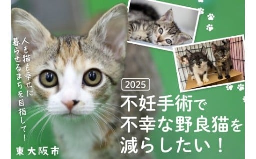 【2025】不妊手術で不幸な野良猫を減らしたい！～ 人も猫も幸せに暮らせるまちを目指して～