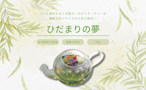 ハーブティ「ひだまりの夢」でレモンの香りとペパーミントの爽快感をお楽しみください🎶