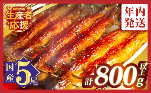 【宮崎県都農町】都農町自慢の返礼品🎁『うなぎ蒲焼5尾』✨