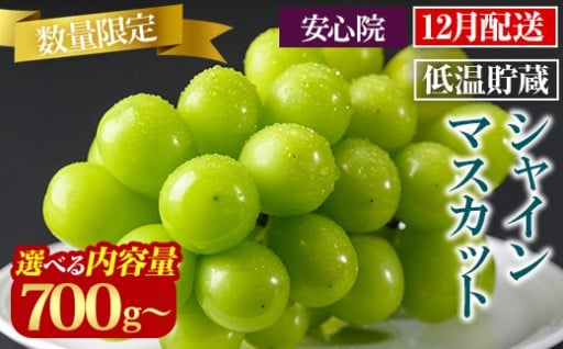 貯蔵シャインマスカット ＜選べる容量 (700g～5kg)＞