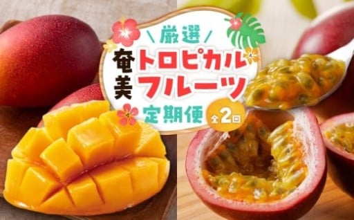 【全2回】🌺厳選！奄美トロピカルフルーツ定期便☀️