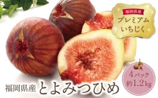 【先行受付開始】福智町の夏フルーツ2026年発送分登場！