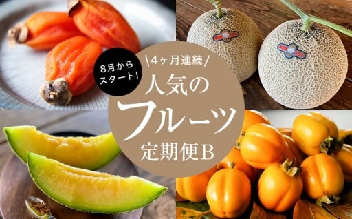 フルーツ定期便B旬の美味しい果物を毎月1種全4回