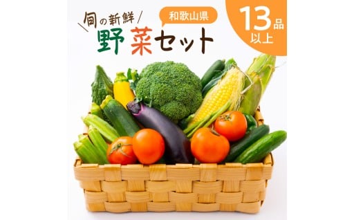 旬の新鮮 野菜セット たっぷり13種以上 季節の野菜🍅🍆🌽🫑