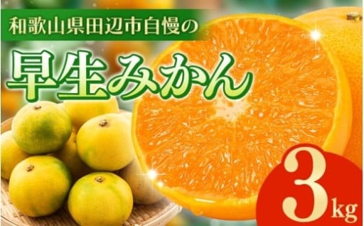 和歌山県 早生みかん 3kg【12月頃発送】