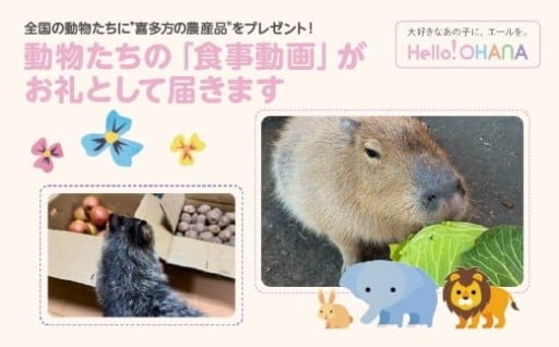 【動物推し活サービス】お礼に「食事動画」が届く！