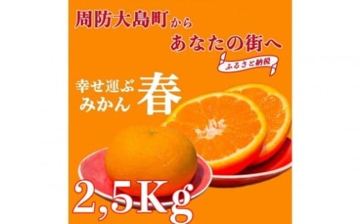 【2026年3月より順次発送】山口県周防大島町からあなたの街へ幸せ運ぶ春みかん《ゆめほっぺ》2.5kg