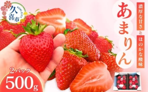 ✨冬の味覚が登場！いちごの先行予約受付スタート✨