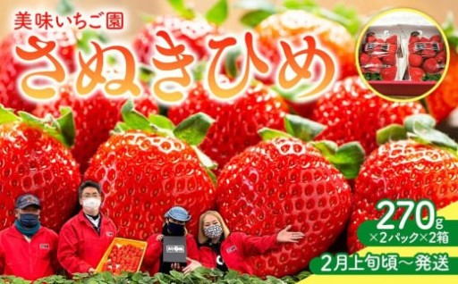 【2月上旬頃～発送】美味いちご園「さぬきひめ」さぬきひめ 270g×4パック