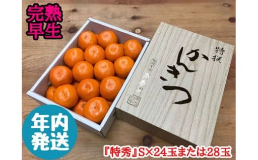 年内発送 完熟早生 有田みかん 化粧小箱 特秀 S サイズ 24玉または28玉入