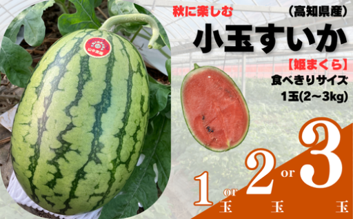 山中農園　小玉すいか