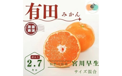 【ふるさと納税】【先行予約】有田みかん 早生 温州みかん 2.7kg（箱込み3kg） 訳あり