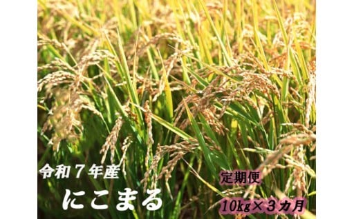 【定期便】 にこまる10kg (5kg×2袋) 【３ヶ月毎月お届け】 