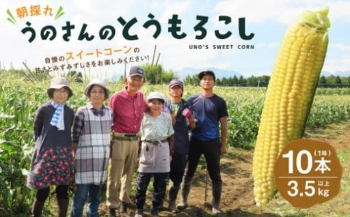 【卯野農場】産地直送！生でも美味しい 朝採れ スイートコーン 10本 3.5kg以上