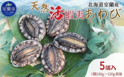 漁期限定！北海道産の贅沢な天然活あわびを自宅で！