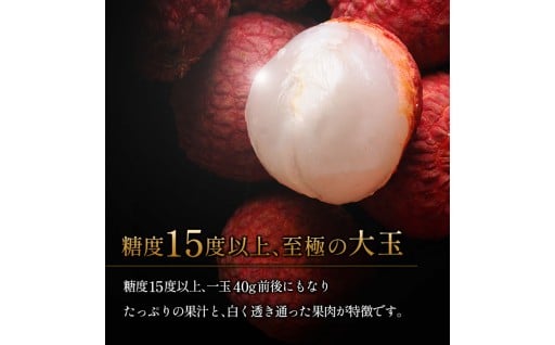 2026年発送! 希少国産生ライチ