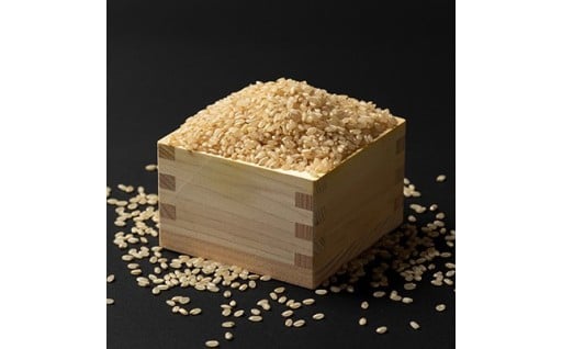 ＜令和7年産＞栽培期間中農薬不使用米 つや姫玄米 10kg【1683657】