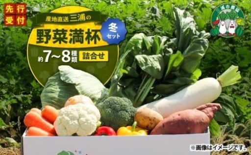 三浦市の新鮮な冬野菜をセットにした【三浦の野菜満杯セット（冬）】お届け🚚