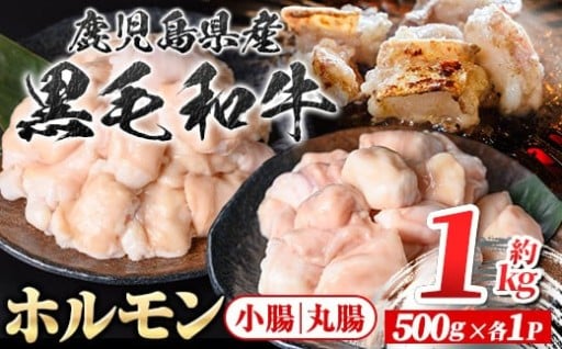 鹿児島県産黒毛和牛 ホルモンセット(約1kg)