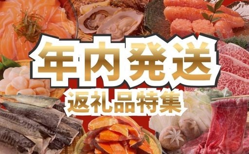 ＼年内発送可能な返礼品をご紹介／