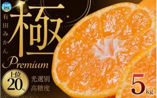 🍊糖度上位20％のみ！最新技術で有田みかんの「あたりだけ」を選別🍊