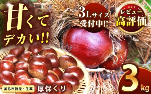 甘くて デカい ! ３Lサイズ 厚保くり ( 生栗 ) 約3kg 