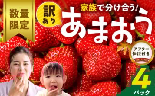 久留米市のあまおうの出荷がスタートしました！