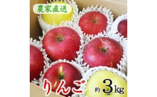 農家直送！ 花巻産 りんごミックス 贈答用 詰め合わせ（約3kg）