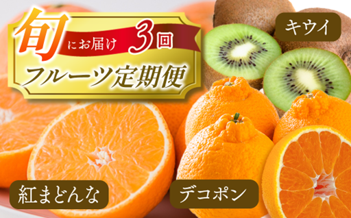 紅まどんな キウイ デコポン 人気フルーツ定期便