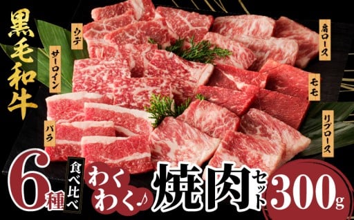 【宮崎県都農町】✨生産者応援✨『6種焼肉セット(合計300g)🥩』