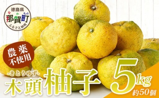 柚子が美味しい季節です♪【10月末頃より随時発送】栽培期間中農薬・化学肥料不使用栽培の木頭柚子（黄玉）5kg 