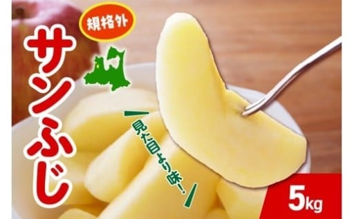 🍎🌟【選べる配送時期】 りんご サンふじ 約 5kg 規格外 【 12月 1月 2月 3月 発送 】🍎🌟