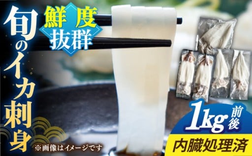 ＼産地直送・鮮度抜群／旬のイカ刺身