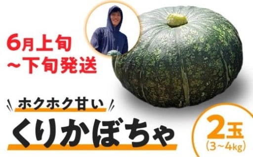 【2026年先行予約📅】くりかぼちゃ 2玉✨