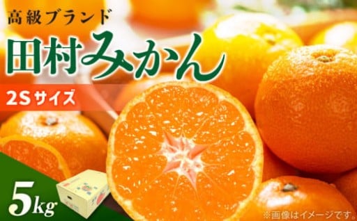 🍊濃厚ジューシー！極上の「田村みかん」🍊